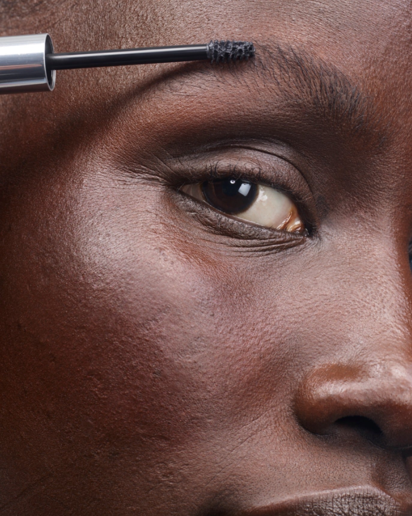 The Brow Kit