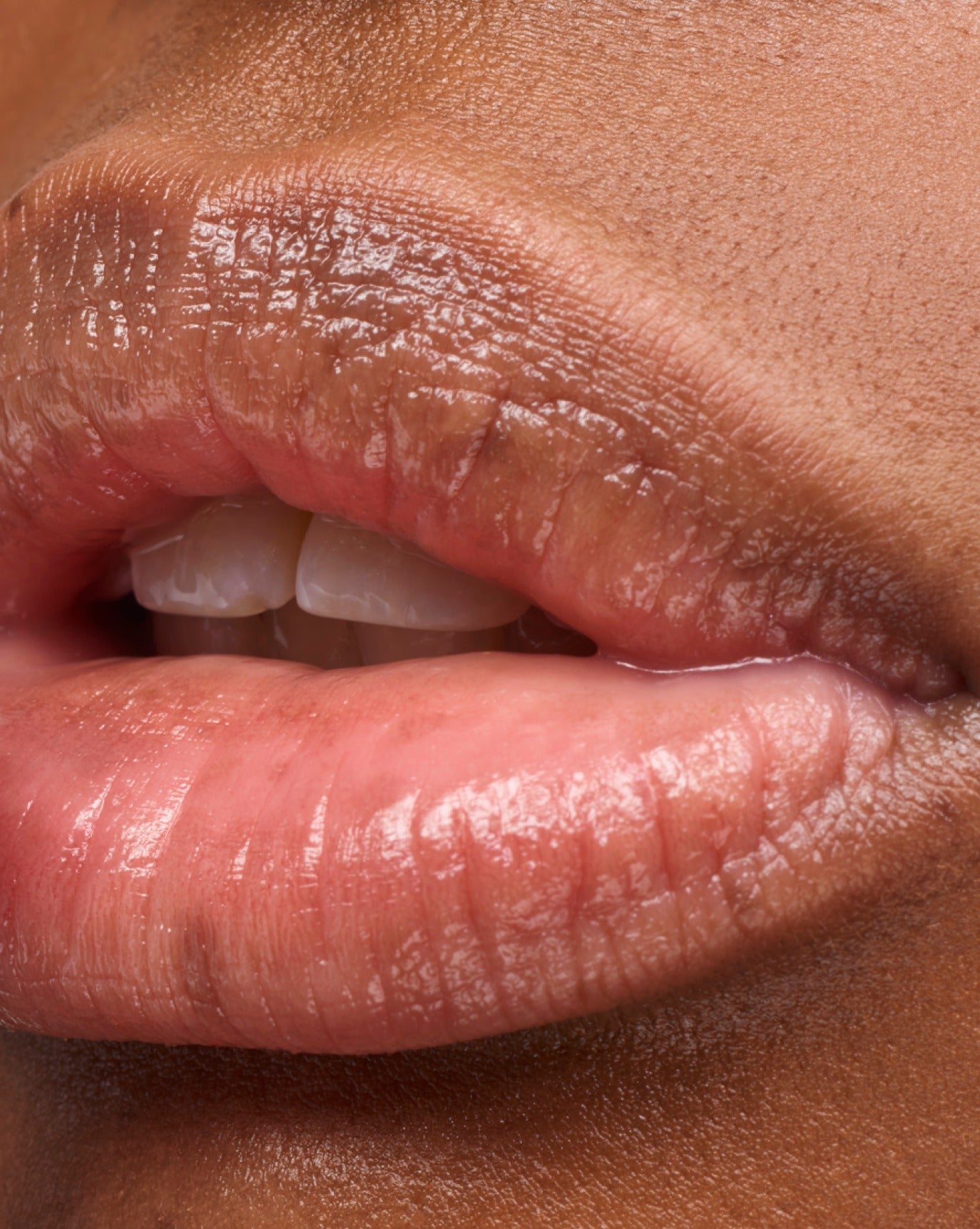 Balm Dotcom Trio